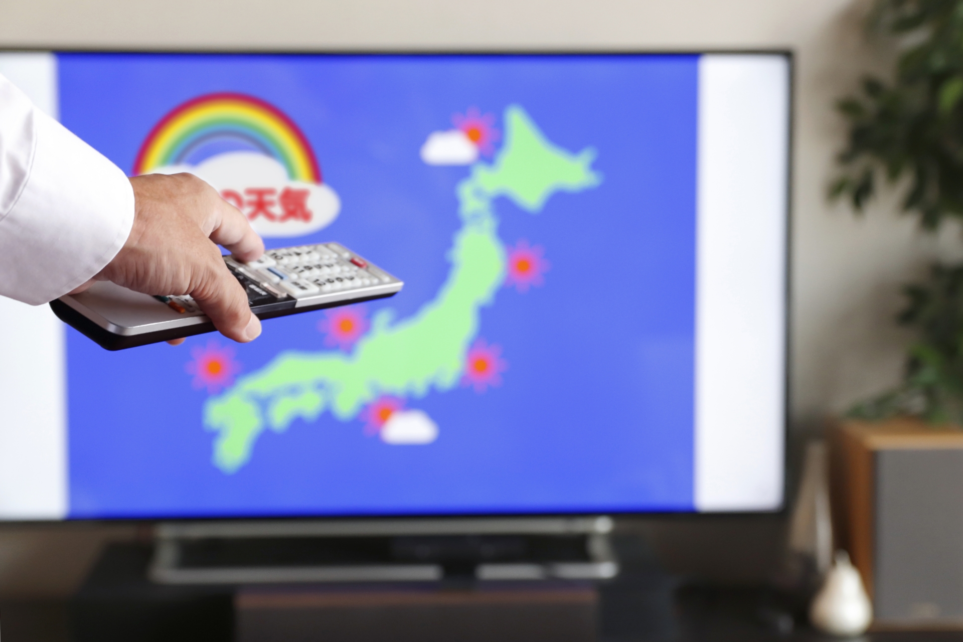 朝の、テレビ番組は？